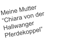Meine Mutter “Chiara von der Hallwanger Pferdekoppel”
